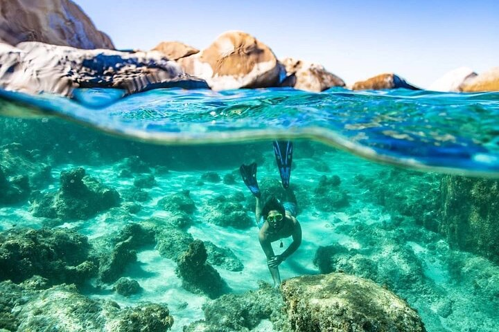 Sea Scooter Snorkeling Adventure in Tortola! - Photo 1 of 10